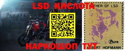 молекула духа Краснокаменск
