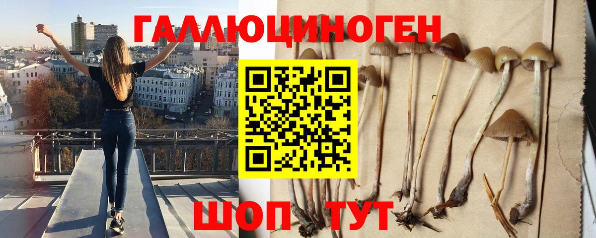 Кемерово  Галлюциногенные грибы мухоморы  Вход с VPN 